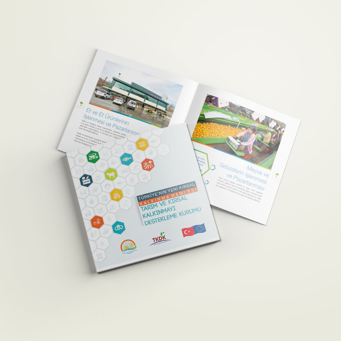 TKDK TÜRKİYE’NİN YENİ KIRSAL KALKINMA HAMLESİ